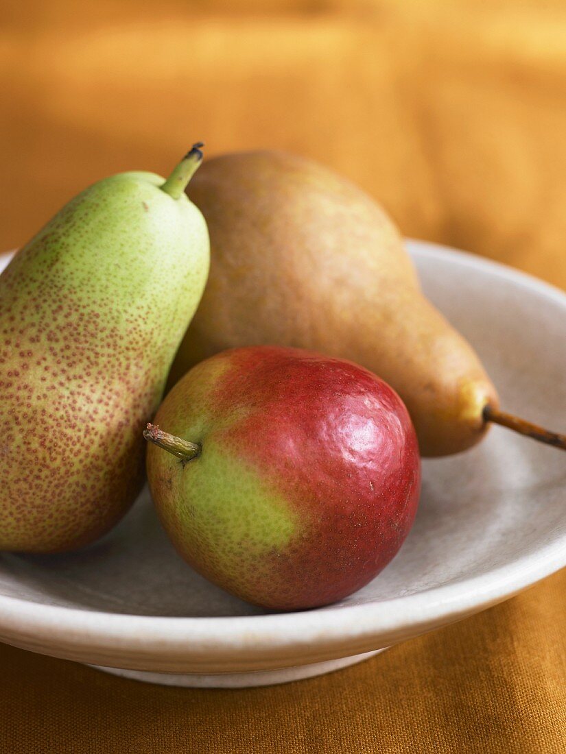 Three Assorted Pears in a Shallow Bowl