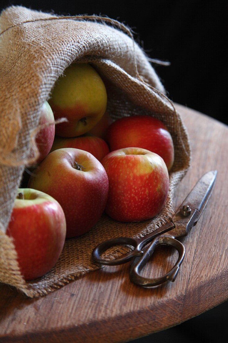 Fresh apples in jute bag
