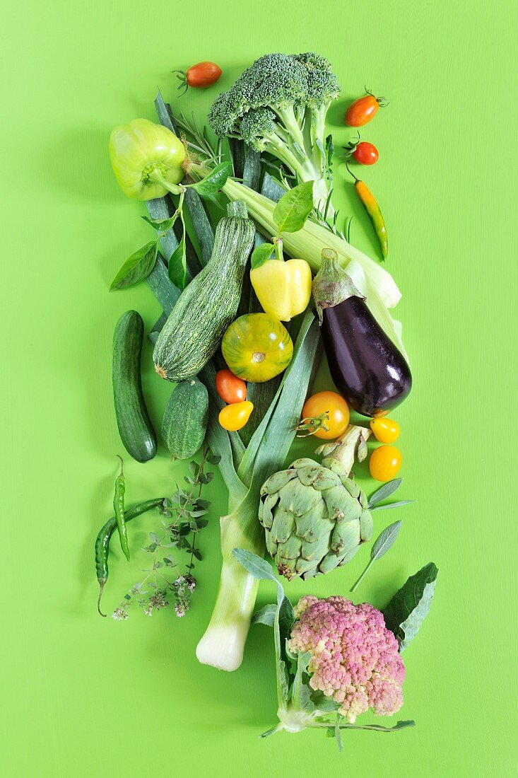 Various vegetables on a green background