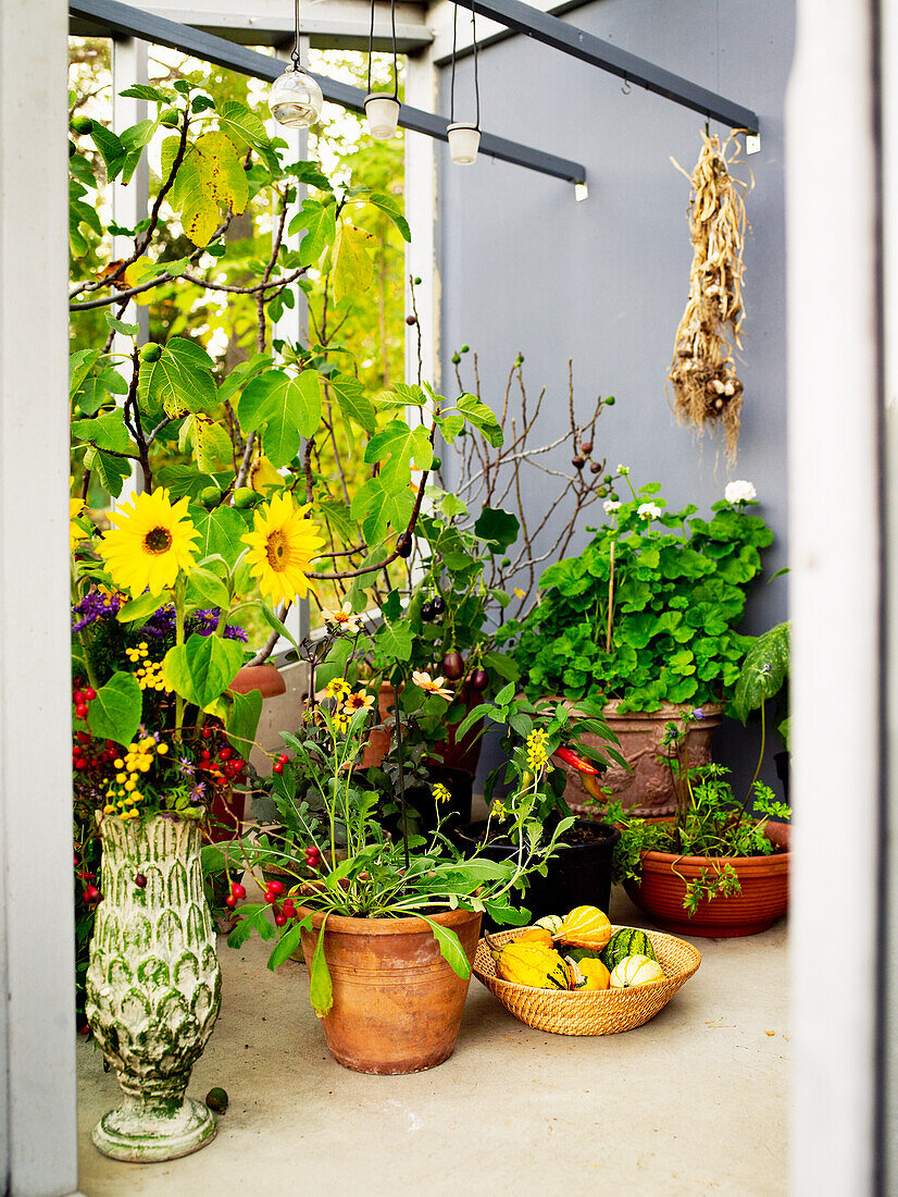 Terrasse mit herbstlicher Dekoration