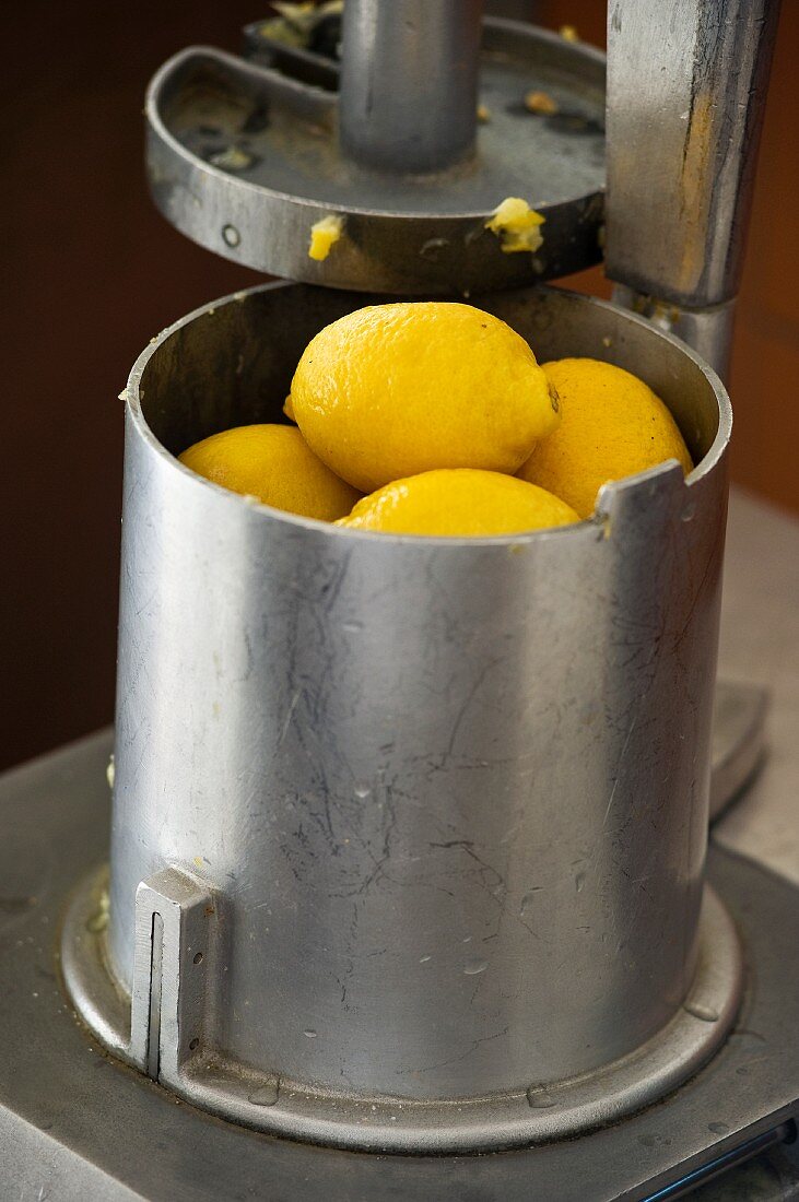 Menton-Zitronen in einer Presse