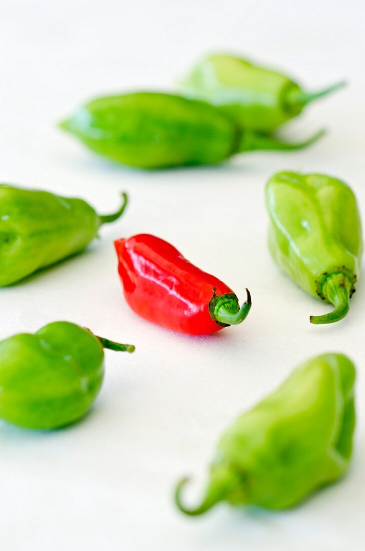 Green and red chilli peppers (Martinique)