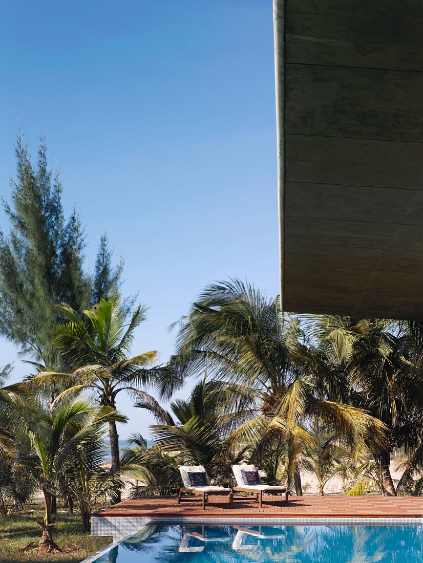 Pool und Holzdeck vor Palmen am Strand