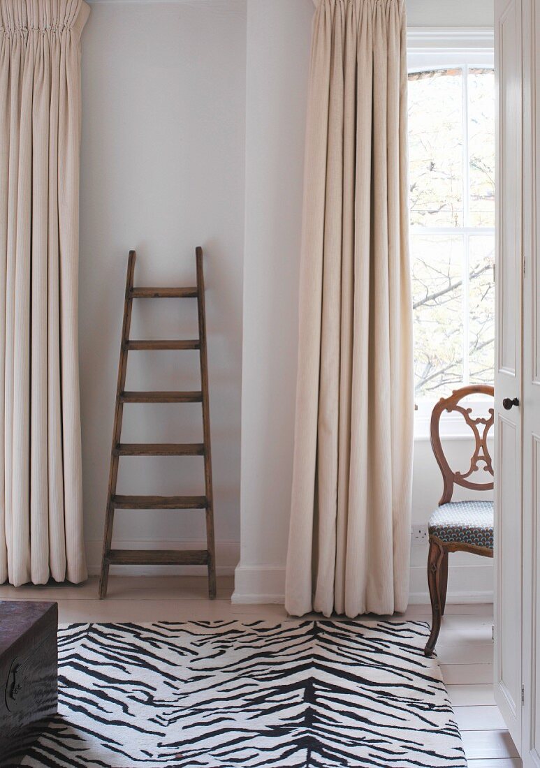 Ladder leaning against the wall next to a window