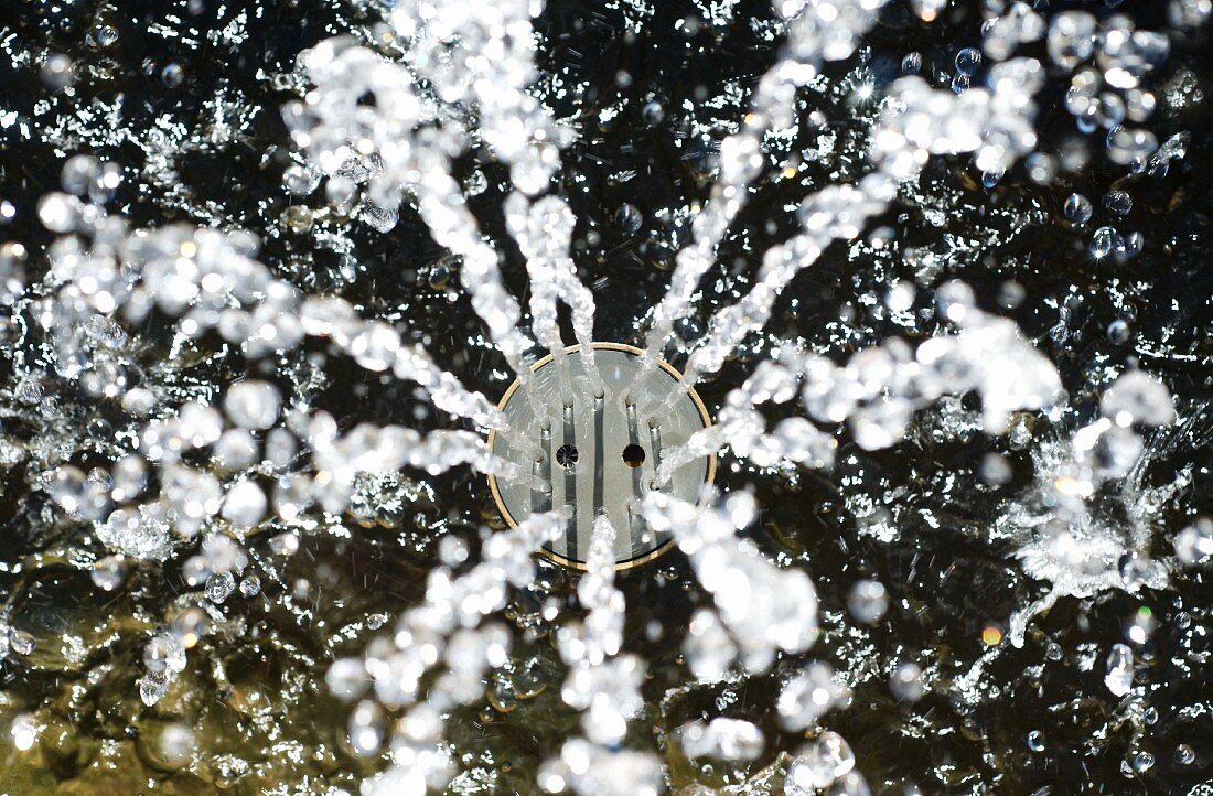 Wasser fließt aus Sprinkler