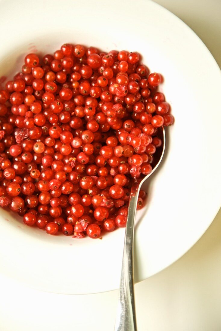 Red Currants in a White Bowl with a Spoon
