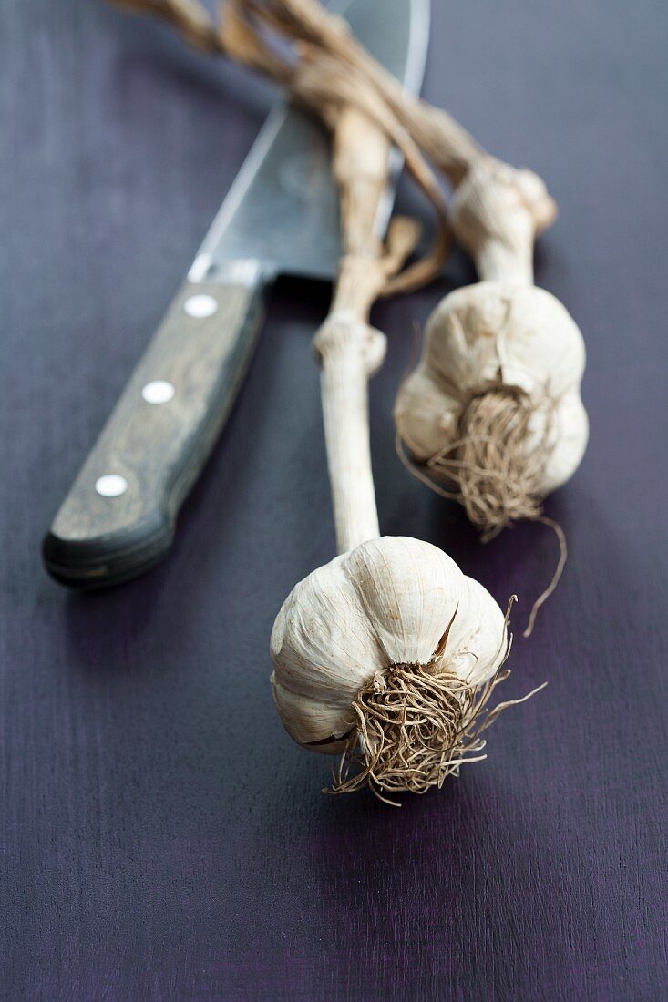 Two garlic bulbs and knife
