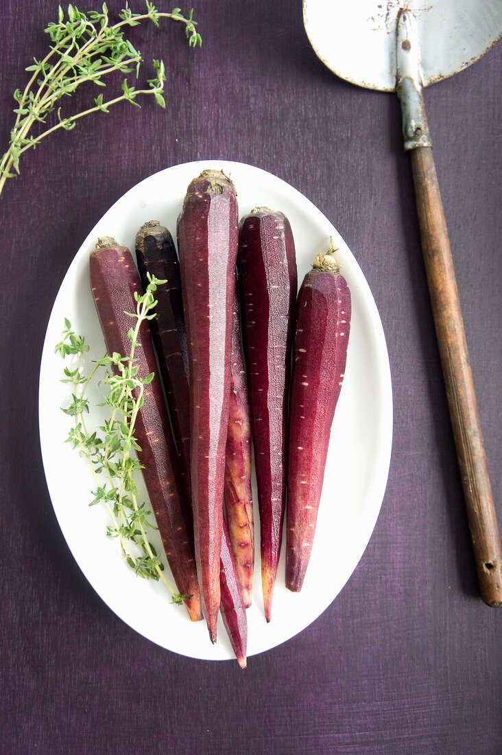 Purple carrots and thyme