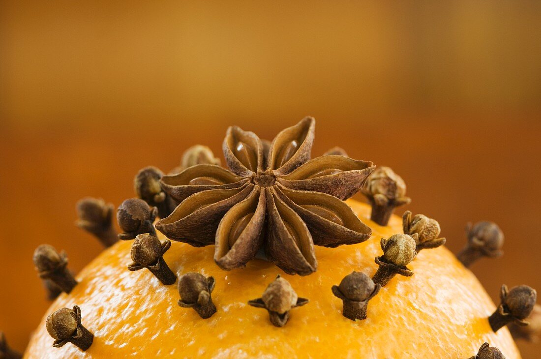 An orange pierced with cloves and an anise star