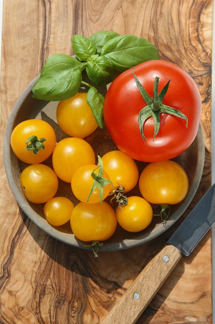 Red and yellow tomatoes with basil