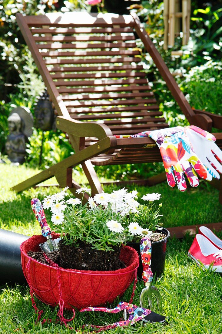Red hanging basket of oxeye daisies in front of deckchair and gardening gloves