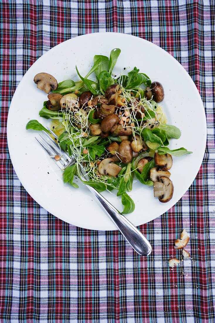 Feldsalat mit Champignons und Sprossen