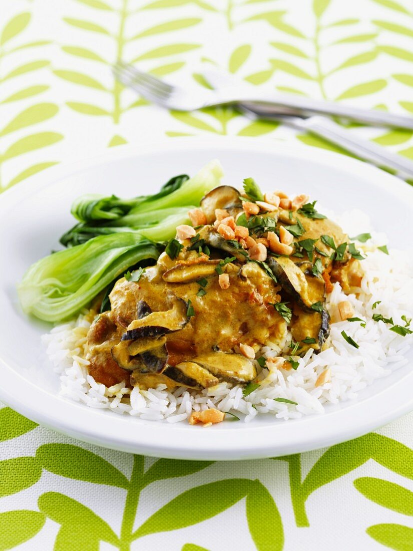 Hähnchen-Kokos-Curry mit Reis