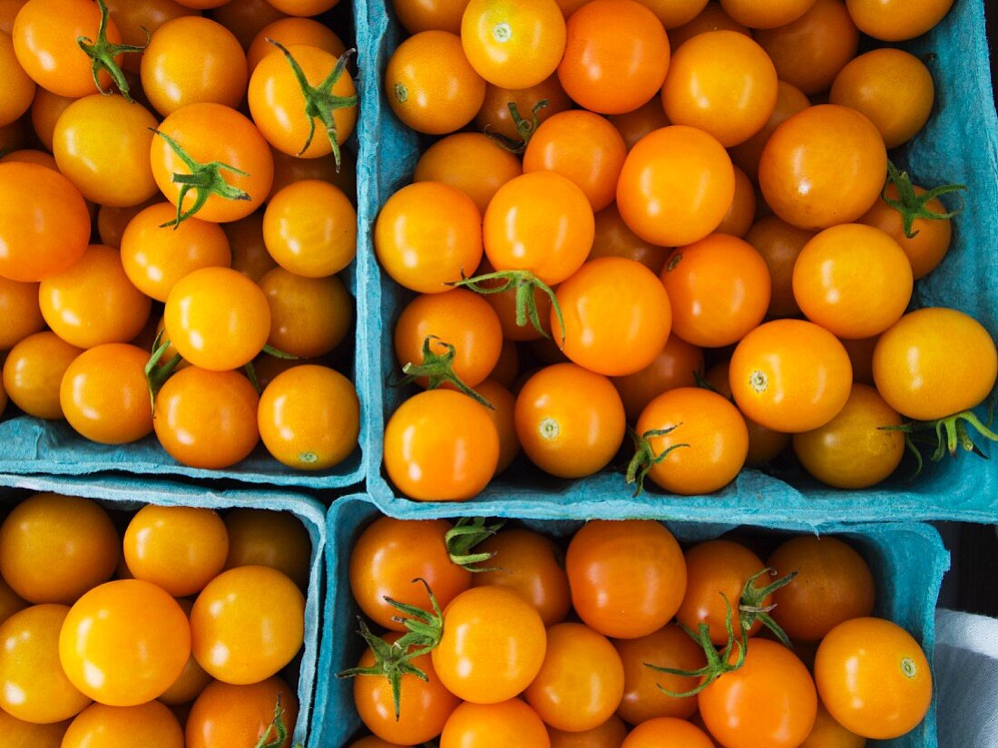 Gelbe Cocktailtomaten in Pappschalen auf einem Markt