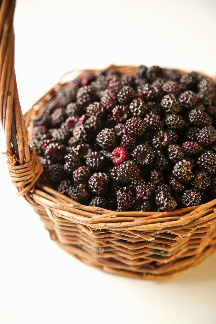Fresh blackberries in a basket