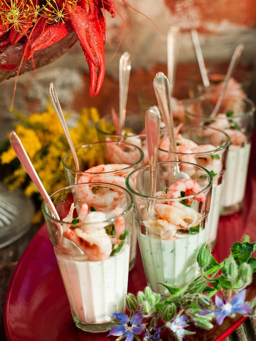 Shrimps on yoghurt and dill panna cotta