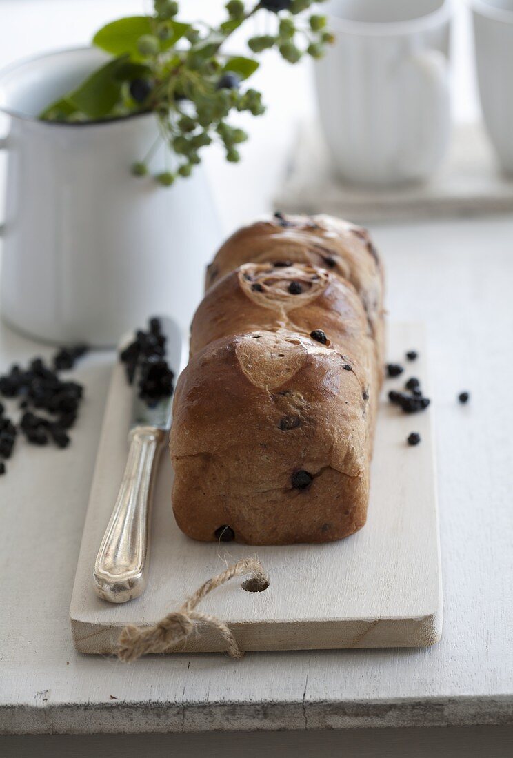 Buchteln (German brioche) with dried blueberries