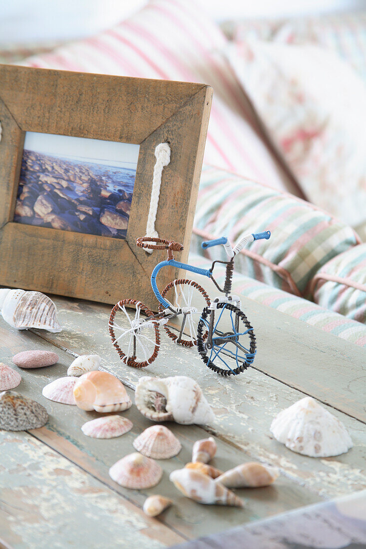 Maritime still life with shells and miniature bicycle on wooden table