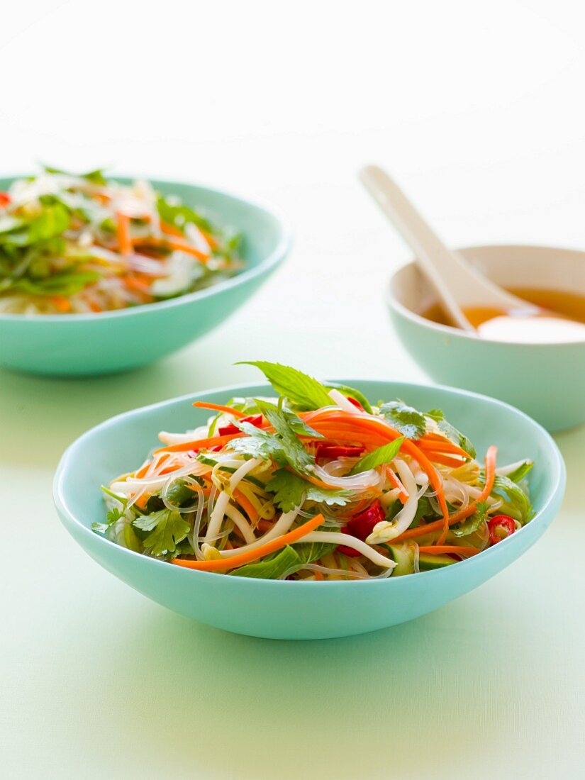 Spicy Vietnamese-style pasta salad with beansprouts