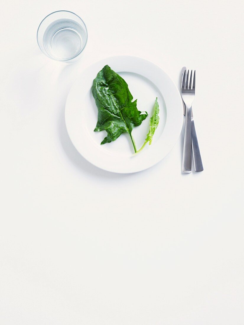 English spinach on a white plate