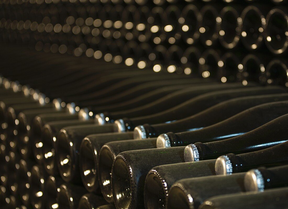 Alte, verstaubte Weinflaschen mit Kronkorken lagern im Weinkeller