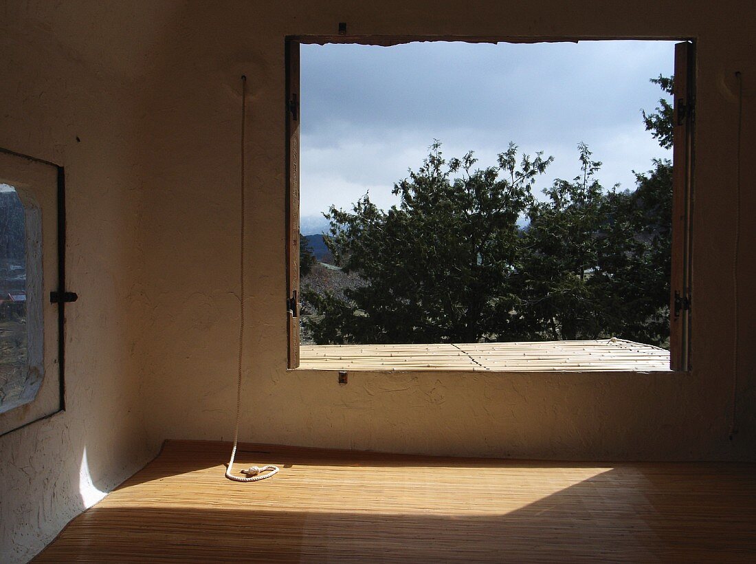 View of treetops from tea house