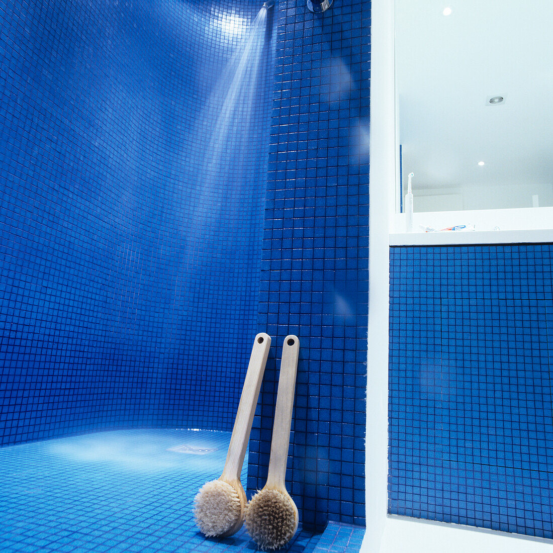 Blue tiled shower with bath brushes