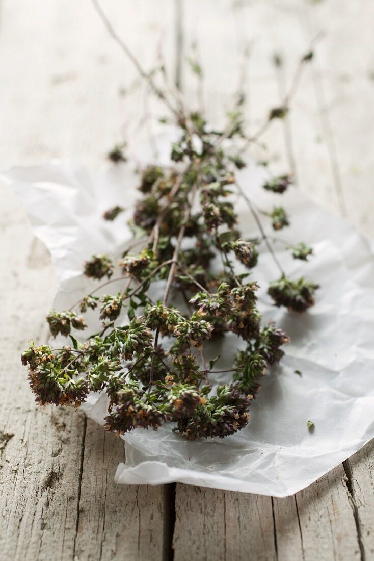 Dried oregano on paper