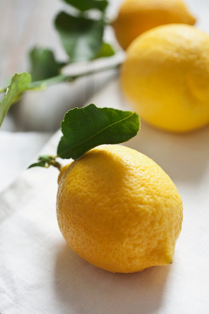 Lemons with leaves