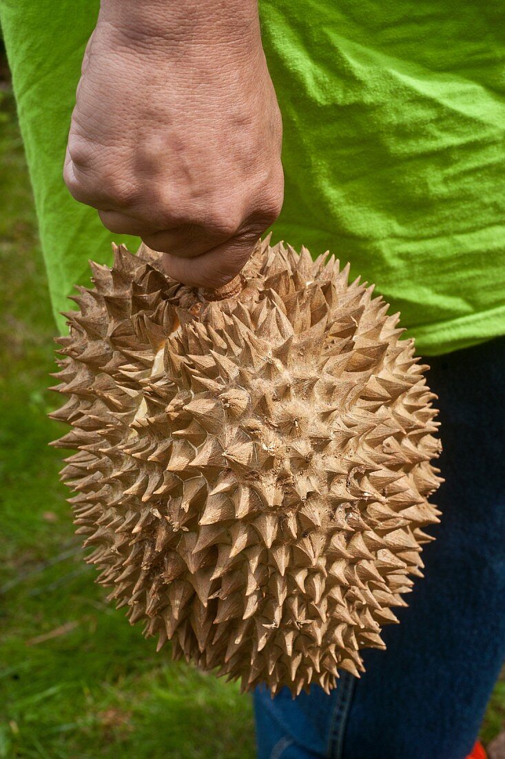 A person carrying a durian