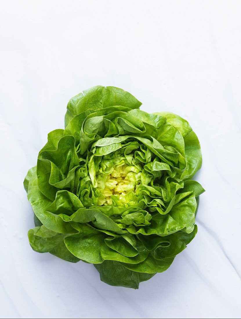 A lettuce seen from above
