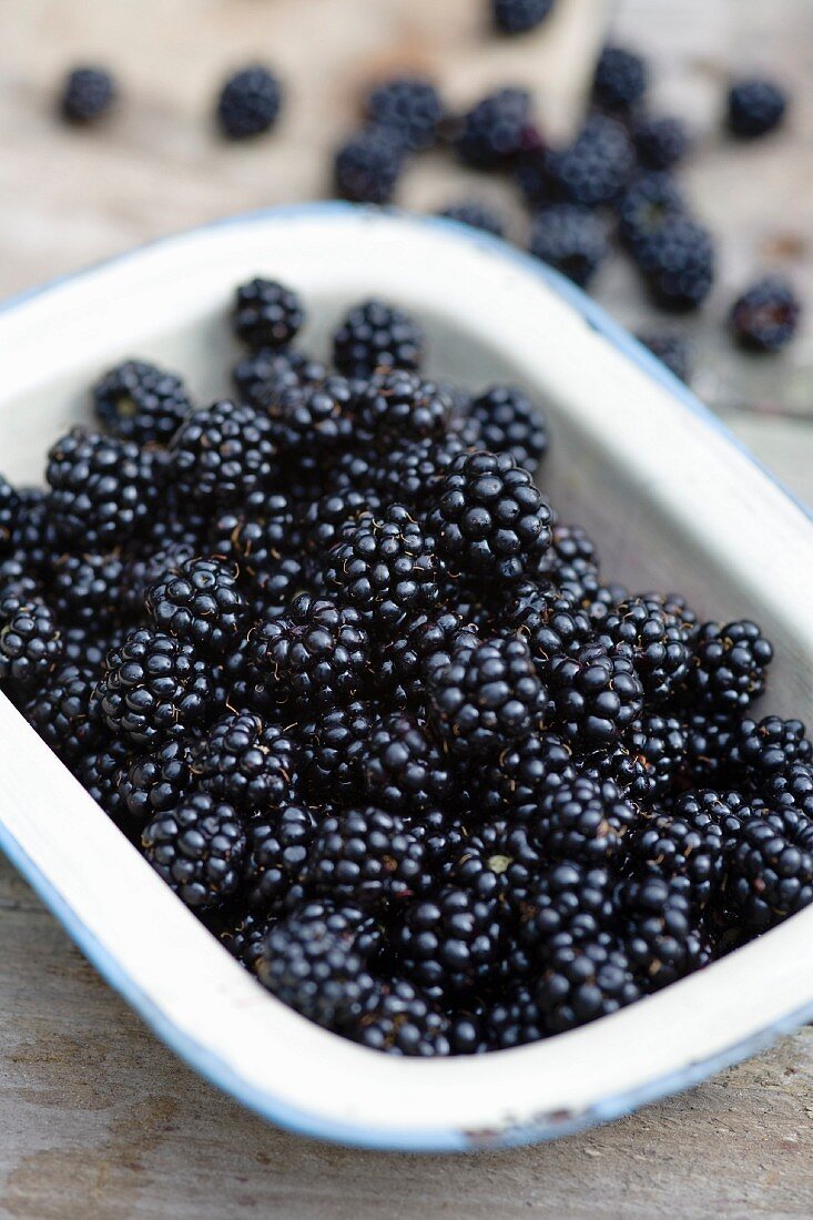 A bowl of fresh blackberries