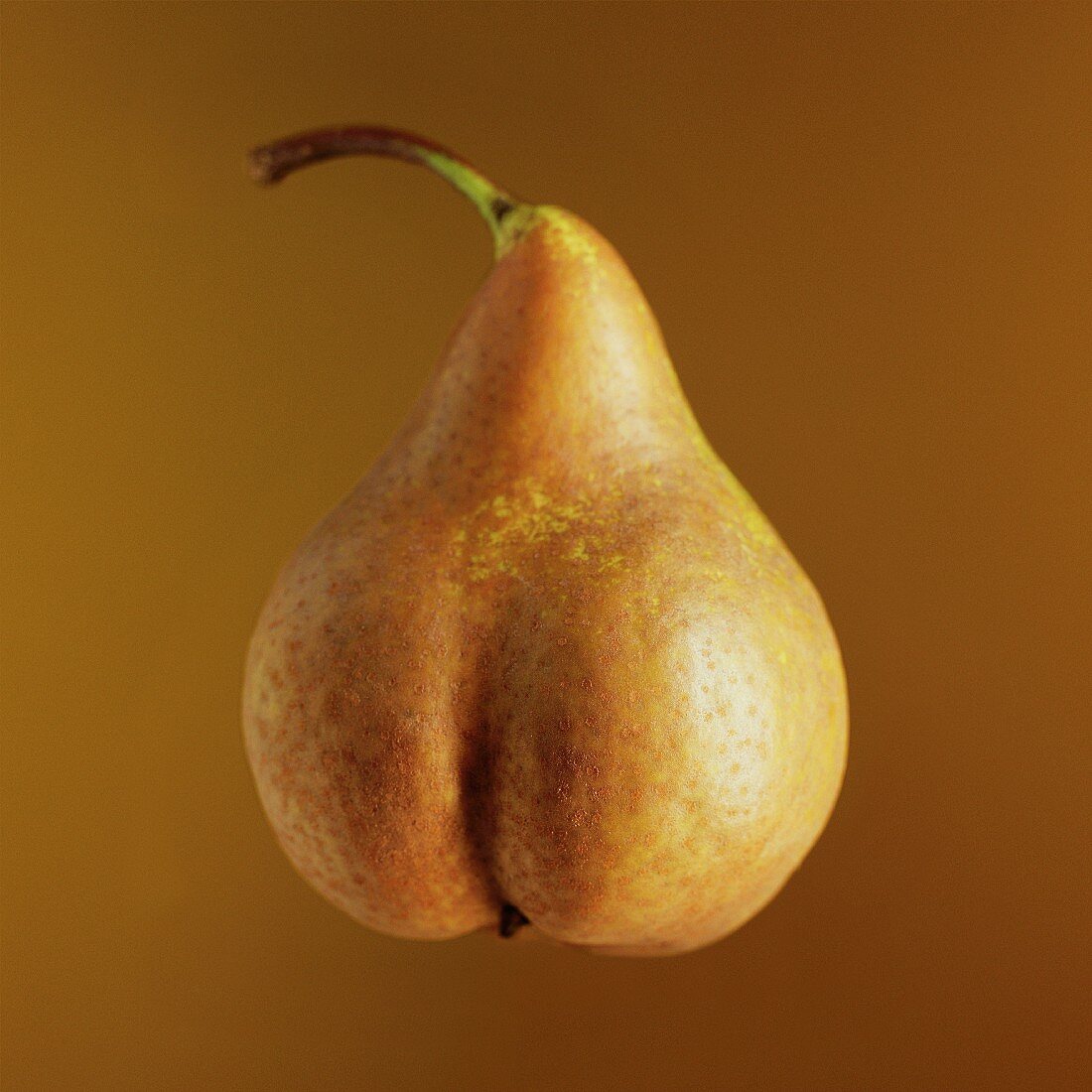 A pear in front of a brown background