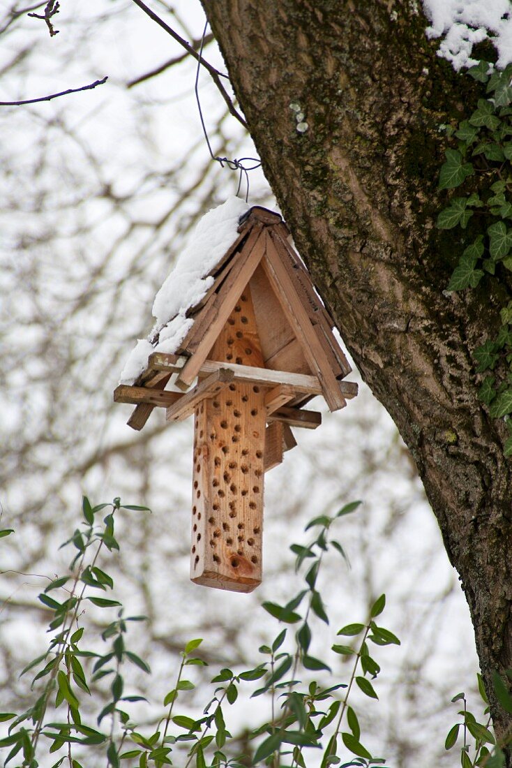 Insektenkasten am Baum hängend