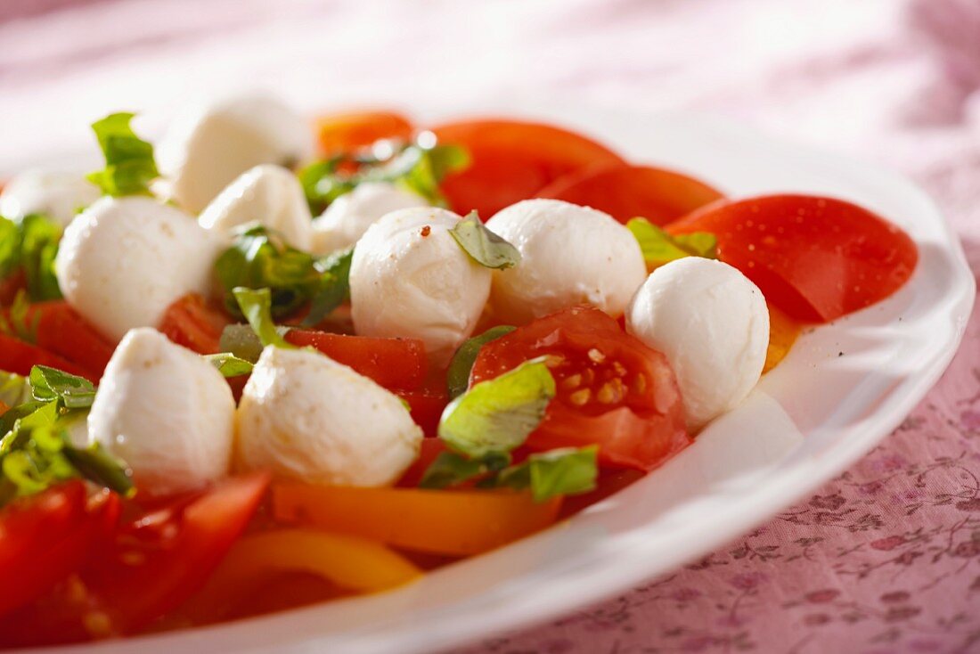 Tomatensalat mit Mozzarella und Basilikum