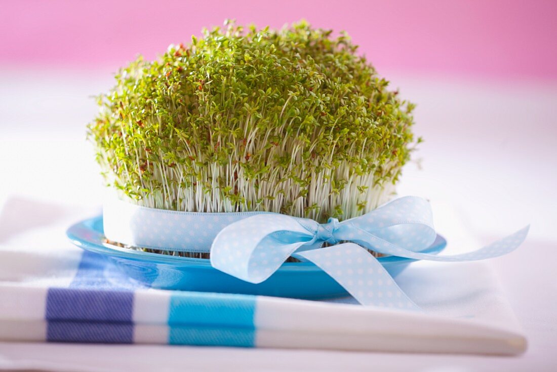 Fresh cress with a spotted bow