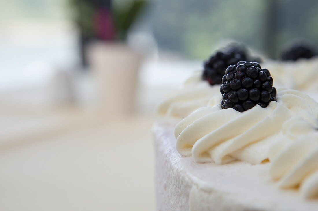 Fresh blackberries on a cream torte