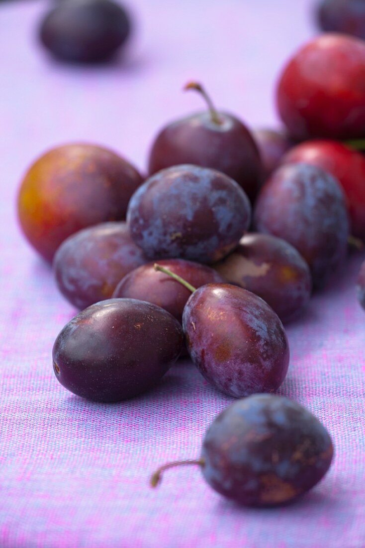 Fresh plums (close-up)