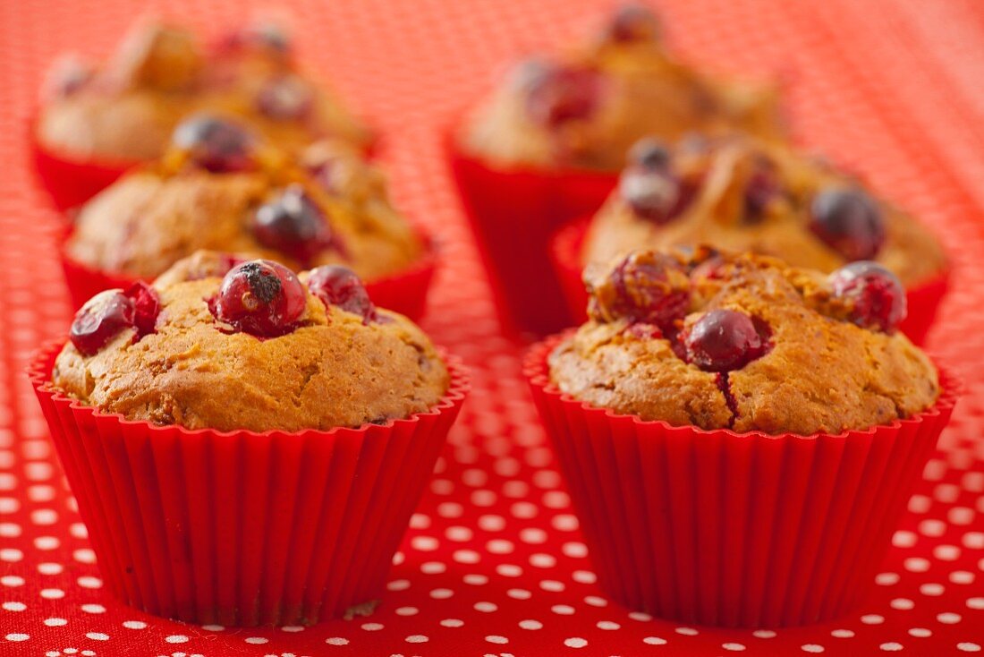 Cranberry muffins