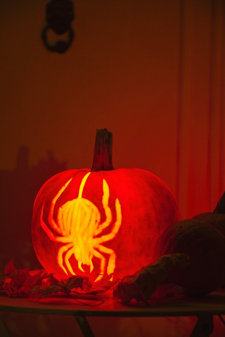 A Halloween pumpkin carved with a spider