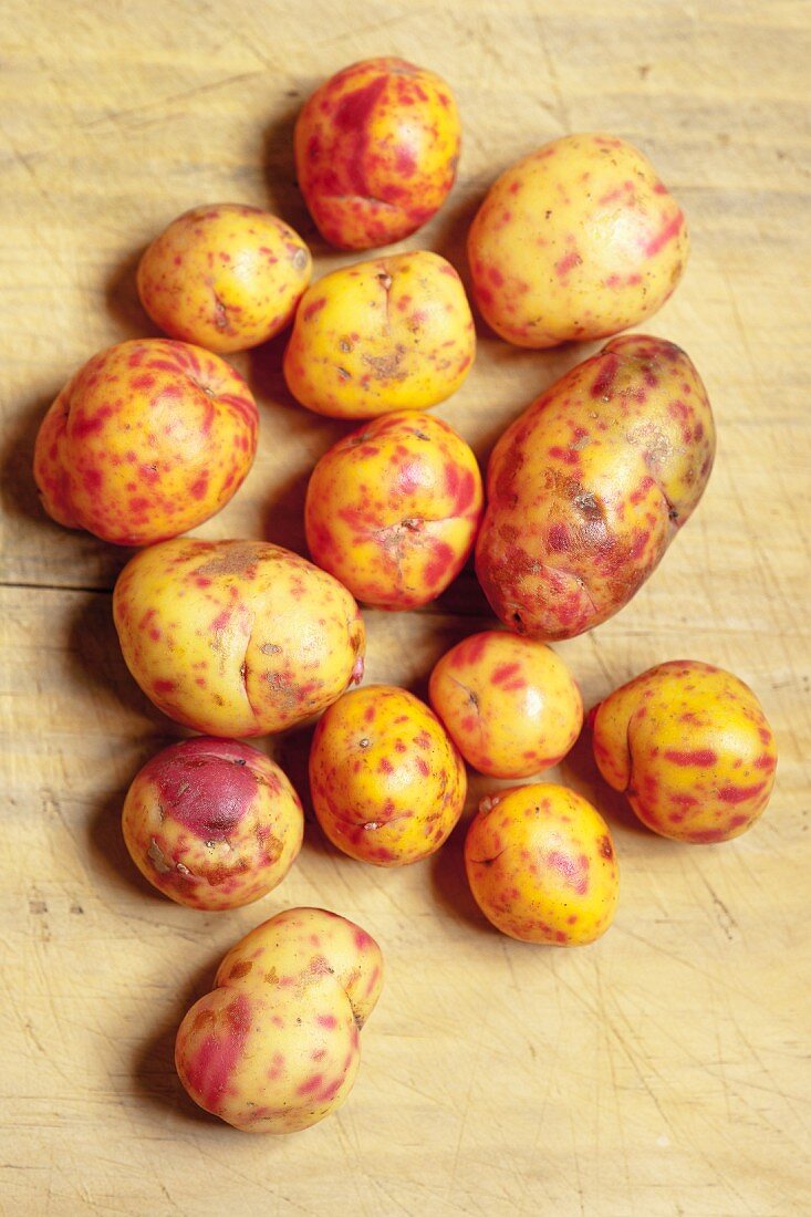 Red and yellow ullucos (ullucus tuberosus, South American root vegetables)