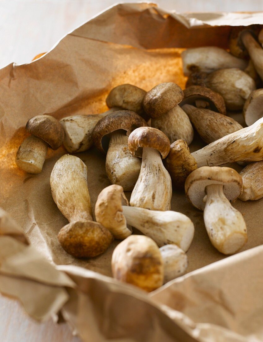 Fresh porcini mushrooms in a brown paper bag