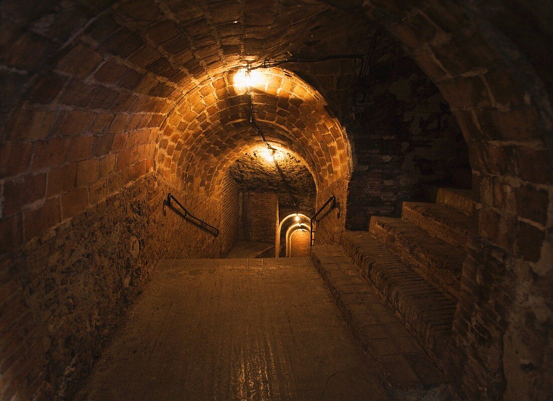 A flight of stair in a wine cellar