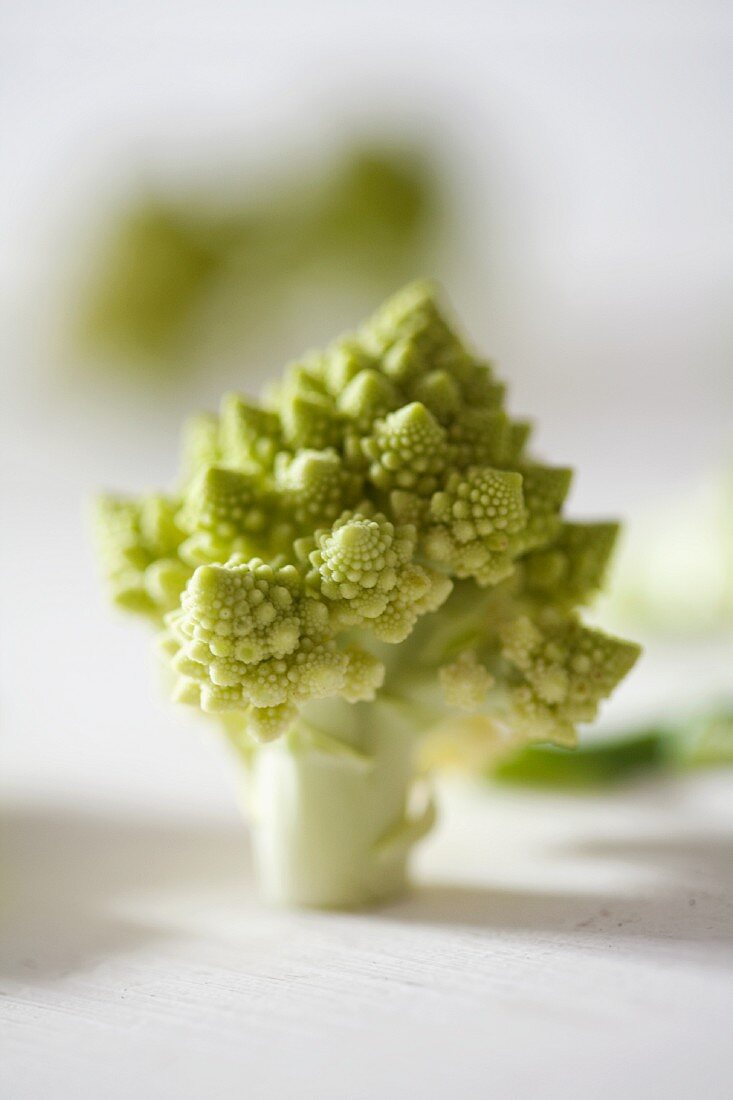 Romanesco