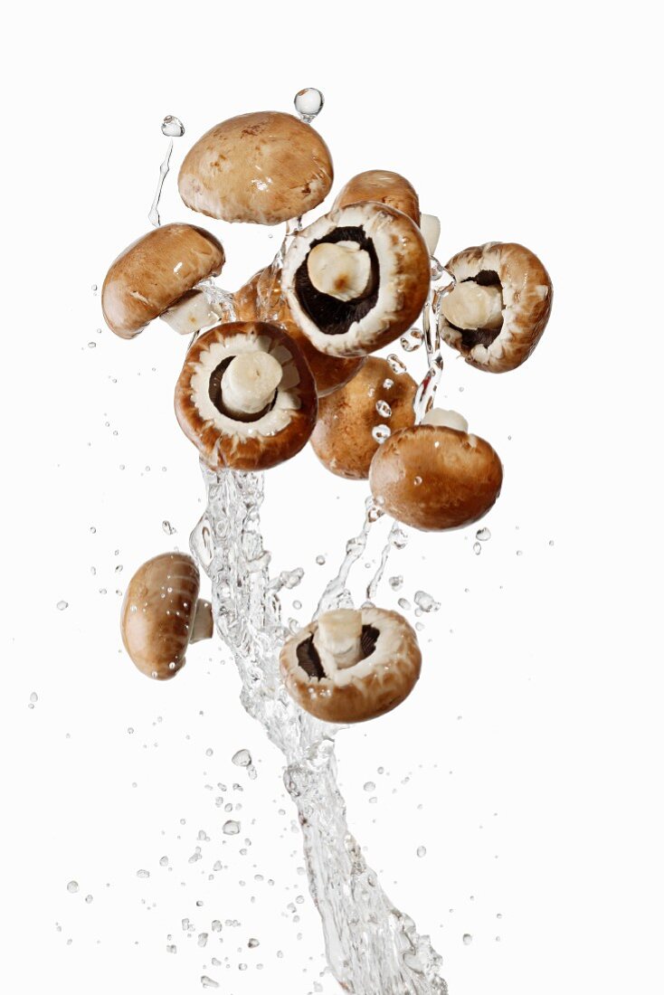 Brown mushrooms and a splash of water
