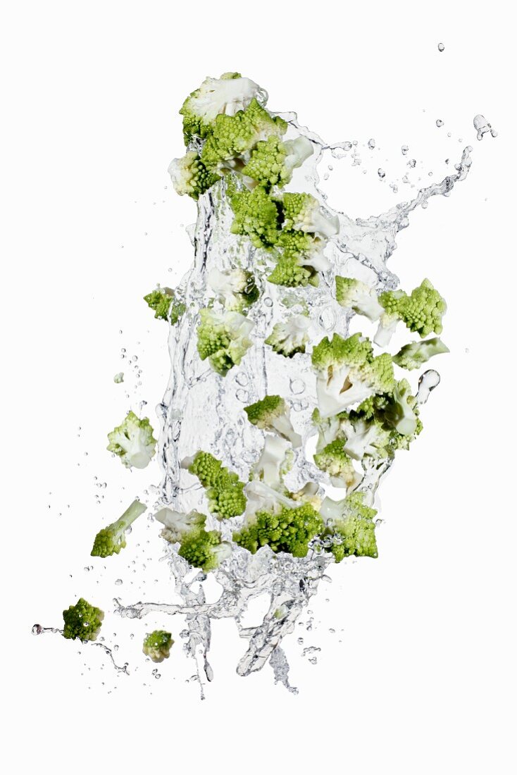 Romanesco broccoli with a water splash