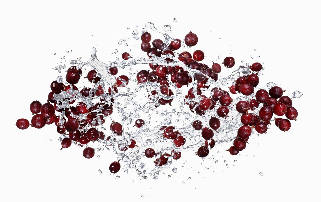 Stachelbeeren mit Wassersplash