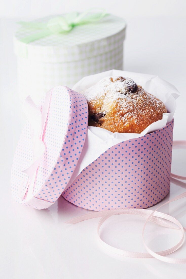 A chocolate-chip muffin in a round gift box