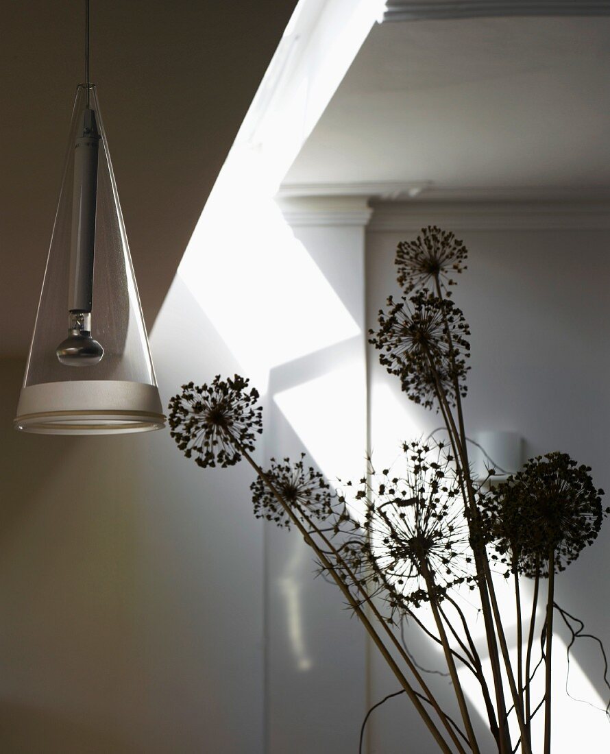 Dried seed heads and pendant lamp with glass shade