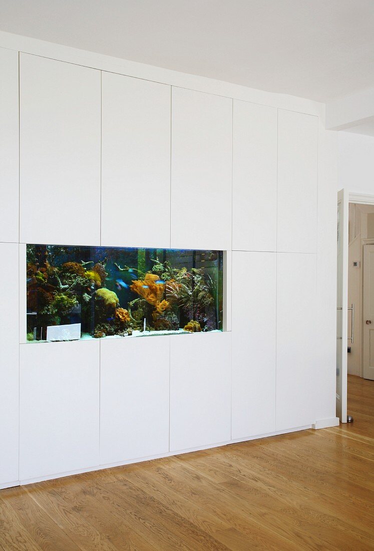 Built-in aquarium